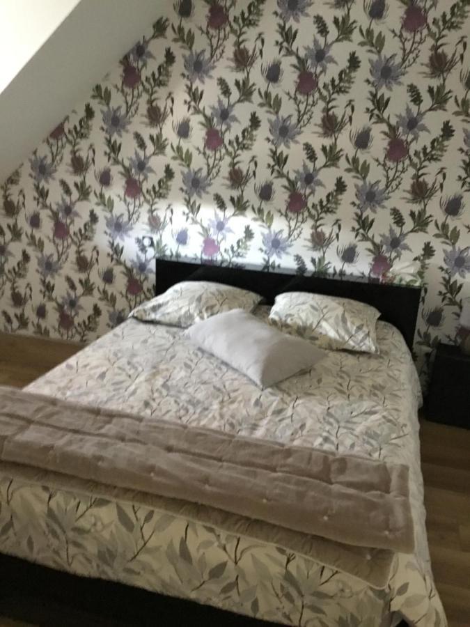 Ferienwohnung La Malvrais Janzé Exterior foto